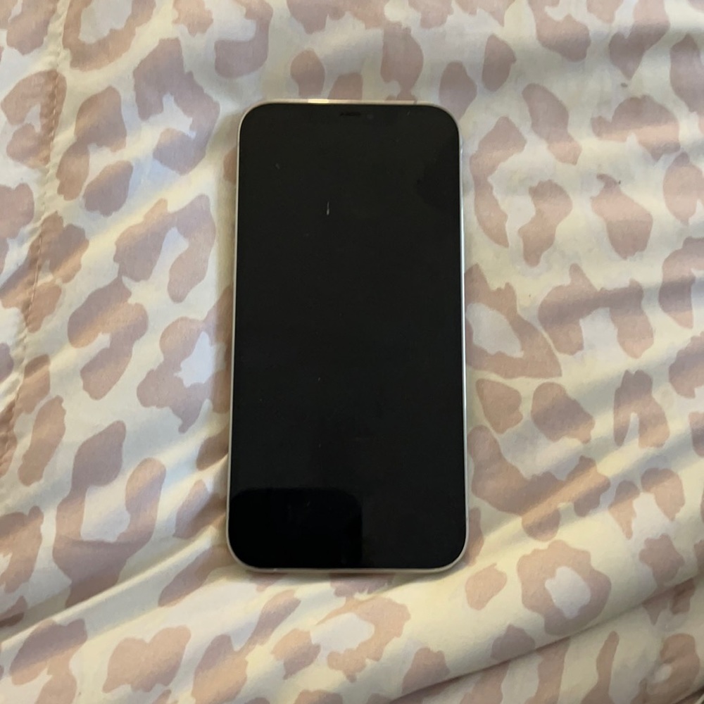 I can ‼️NOT‼️get in this phone 🤦🏽‍♀️I took it to the Apple store nothing